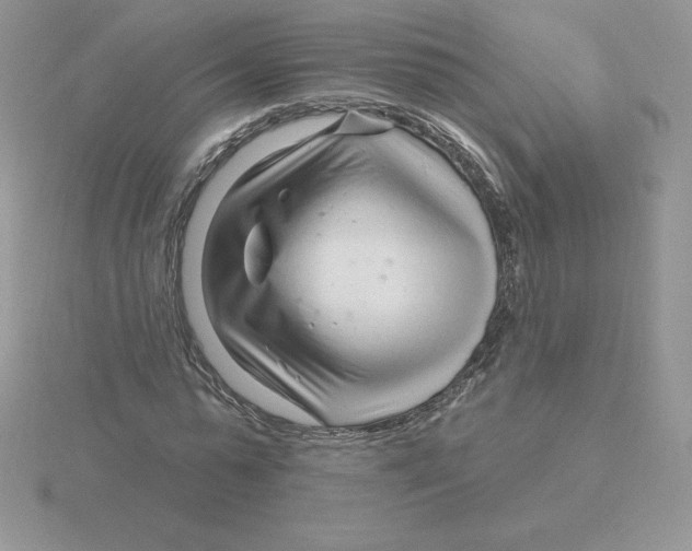X0000115810775200912111229