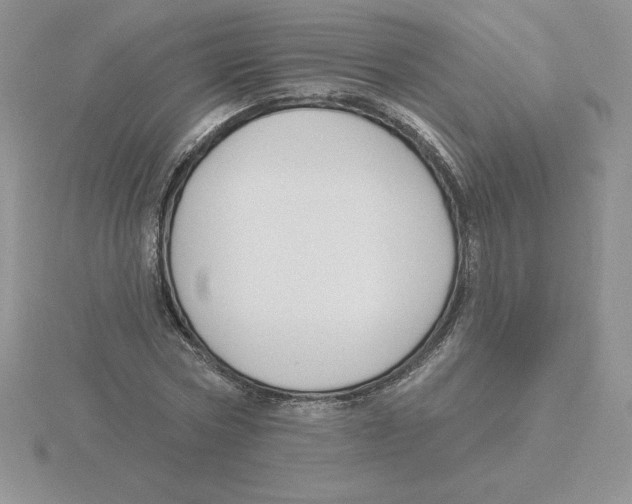 X0000115810778200912111229