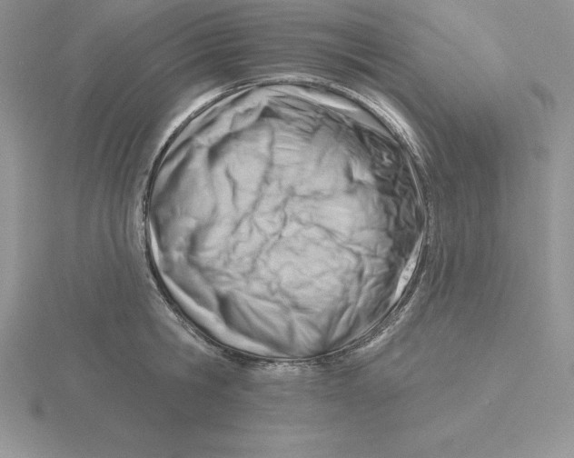 X0000115810806200912111229