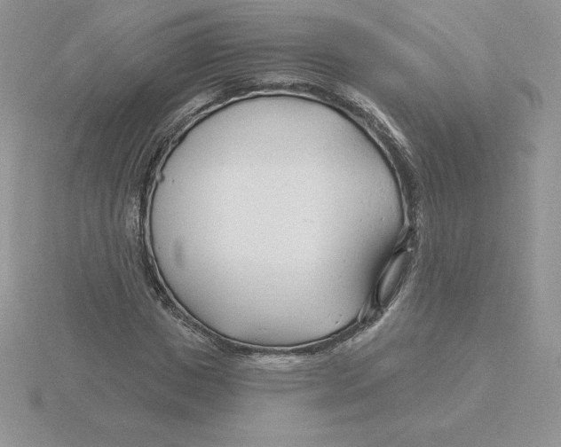 X0000115810825200912111228