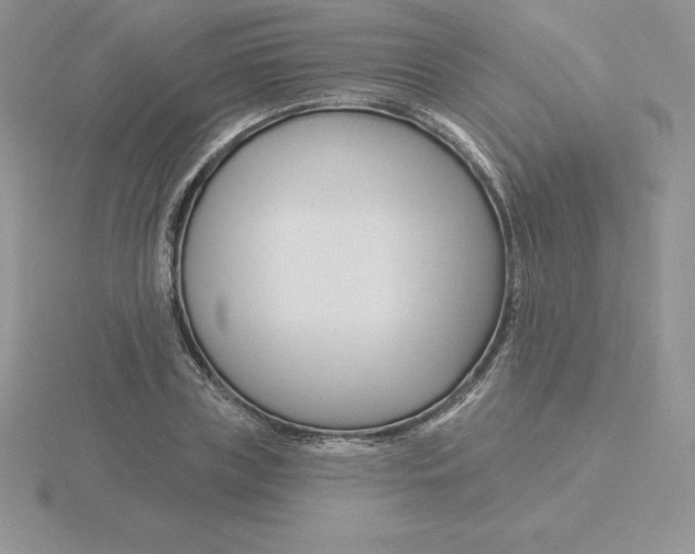 X0000115810835200912111228