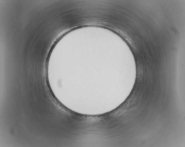 X0000115810848200912111229