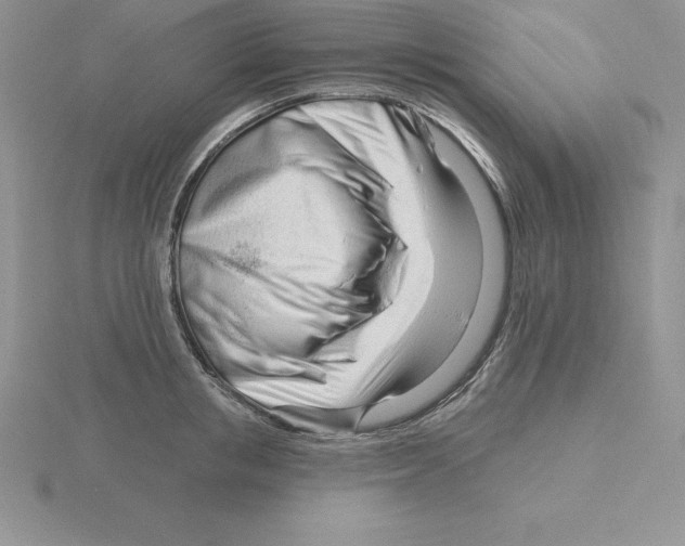 X0000115810853200912111229
