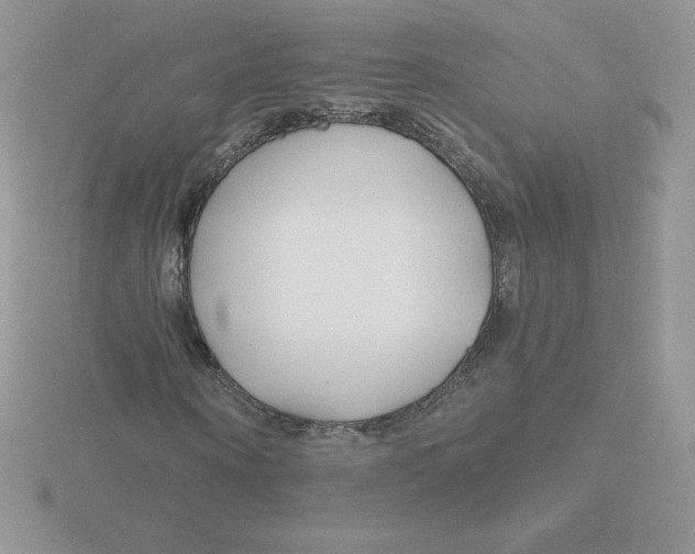 X0000115810866200912111228