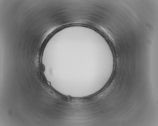 X0000115810875200912111228