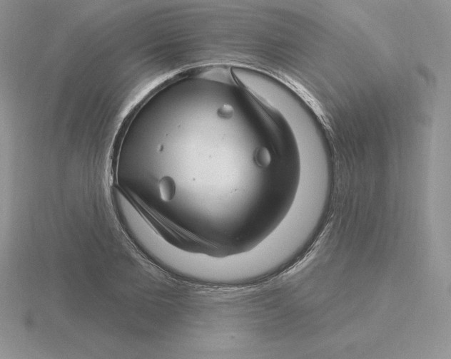 X0000115810885200912111228