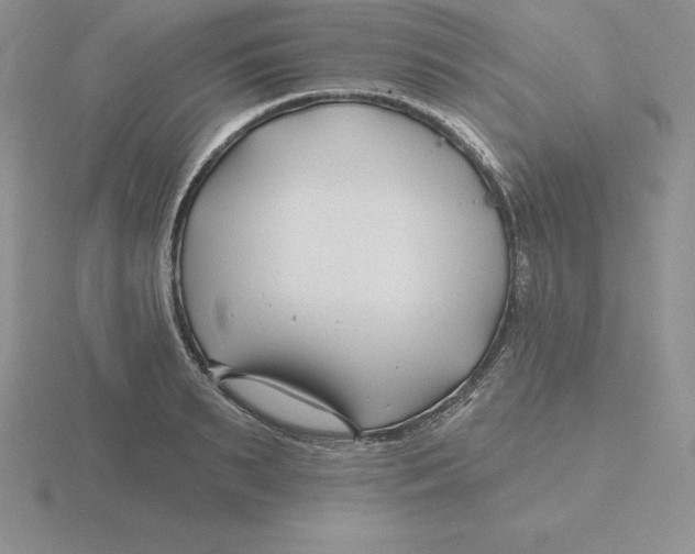 X0000115810895200912111228