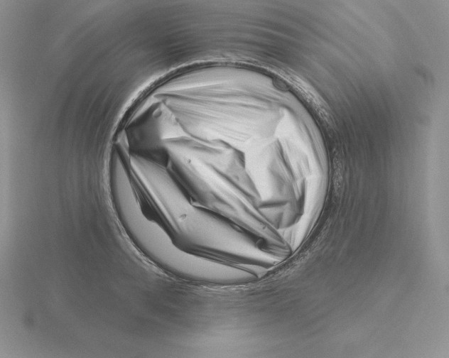 X0000115810896200912111228