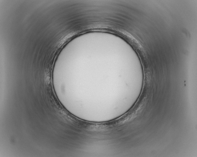 X0000115810929200912111227