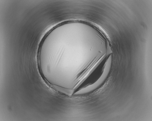 X0000115810943200912111227