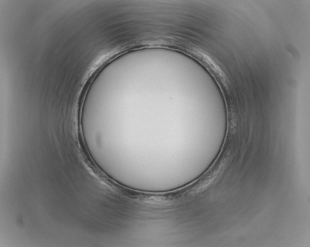 X0000115810986200912111227