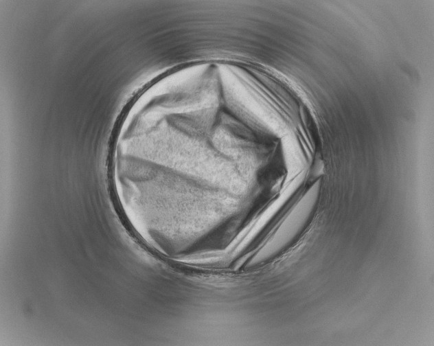 X0000115810995200912111226