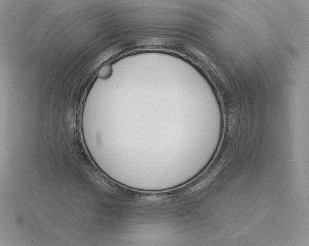 X0000115811017200912111226