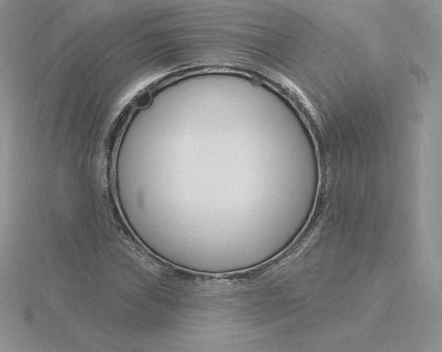 X0000115811019200912111226