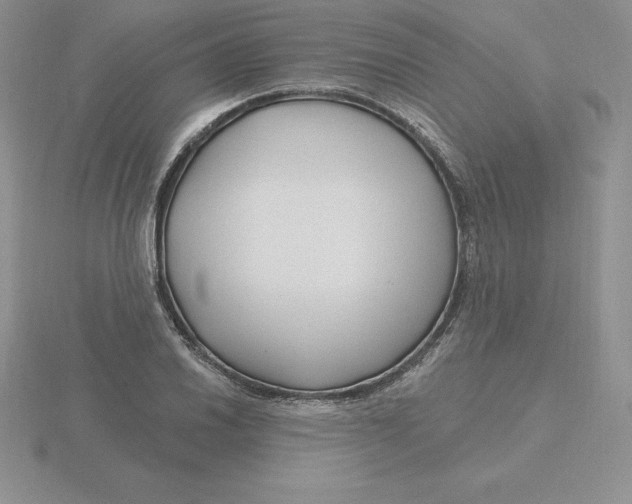 X0000115811030200912111226