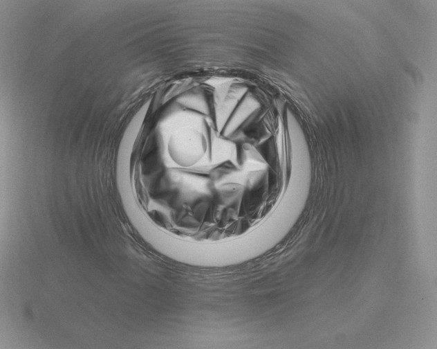 X0000115811060200912111226