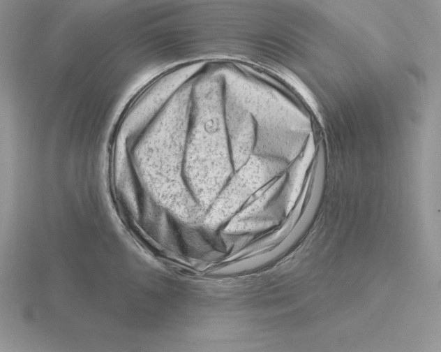 X0000115811096200912111225