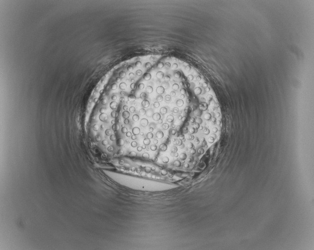 X0000115811106200912111224
