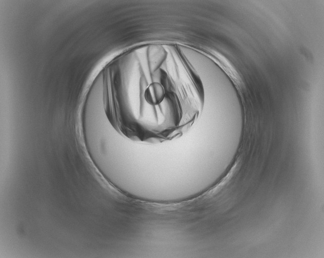 X0000115811196200912111224