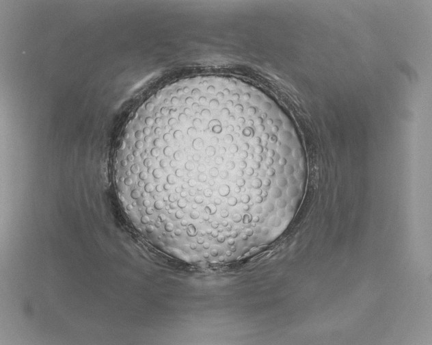 X0000115811205200912111223