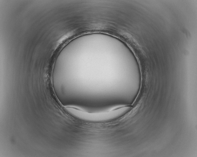 X0000115811210200912111223