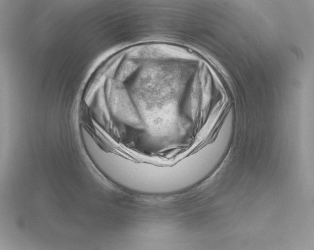 X0000115811246200912111224