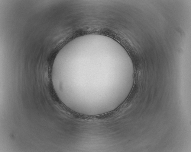 X0000115811250200912111223