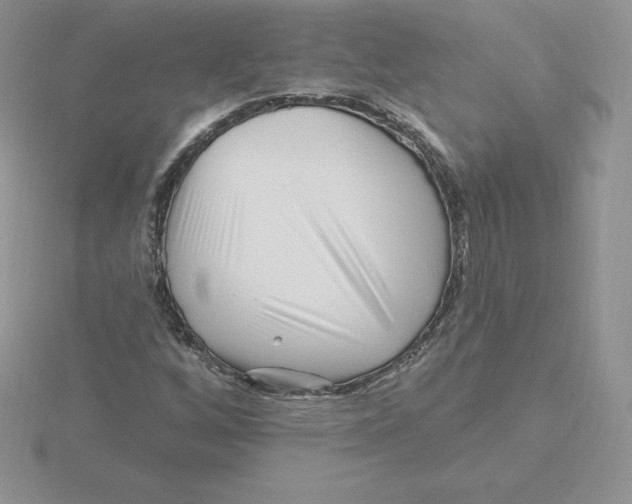 X0000115811256200912111223