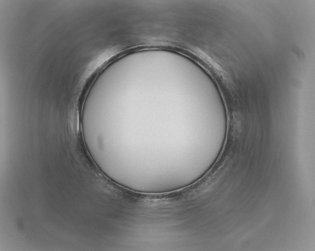 X0000115811269200912111223