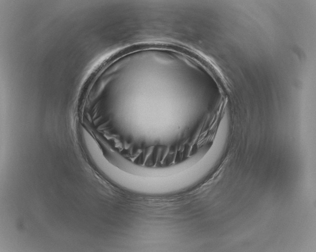 X0000115811319200912111222