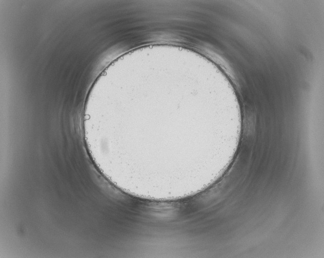X0000115811338200912111223