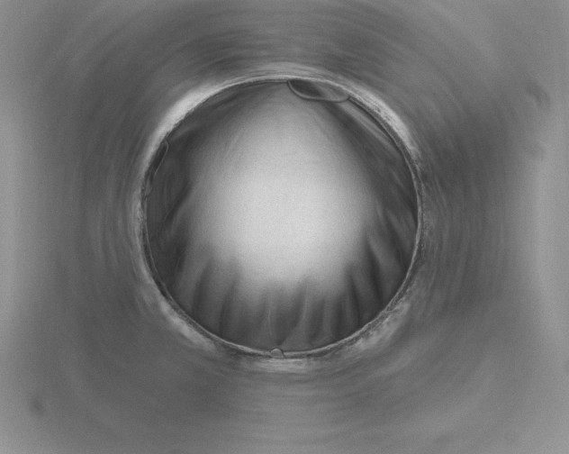 X0000115811381200912111221