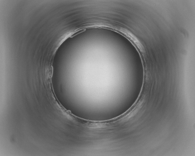 X0000115811385200912111221