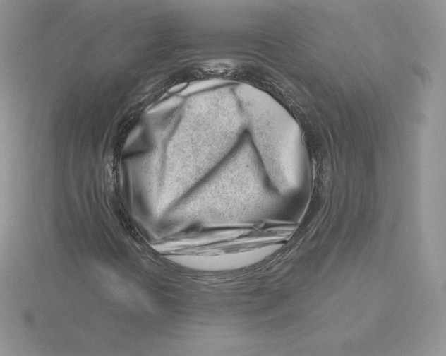 X0000115811394200912111220