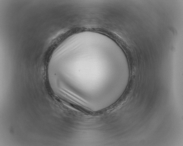 X0000115811398200912111221