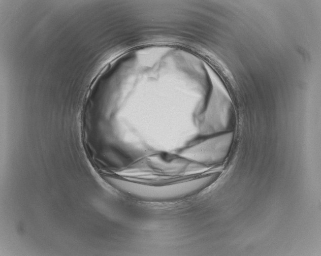 X0000115811425200912111221