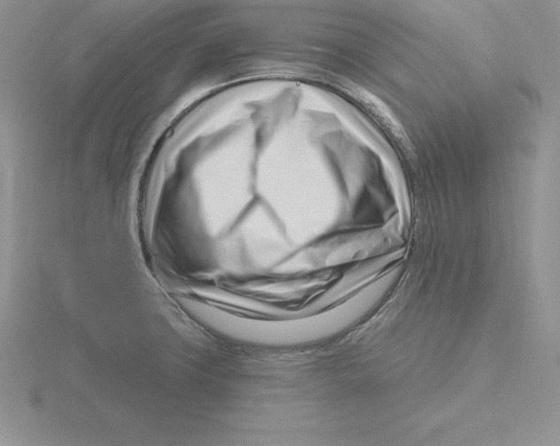 X0000115811427200912111221