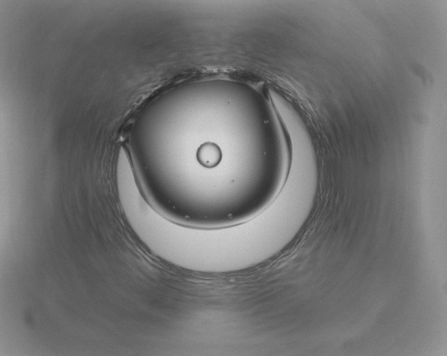 X0000115811444200912111220