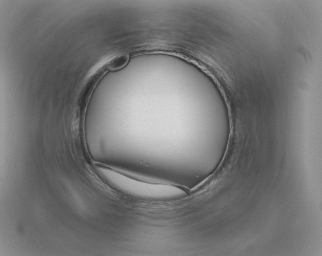X0000115811450200912111220
