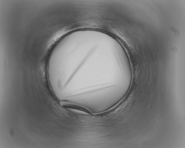 X0000115811455200912111220