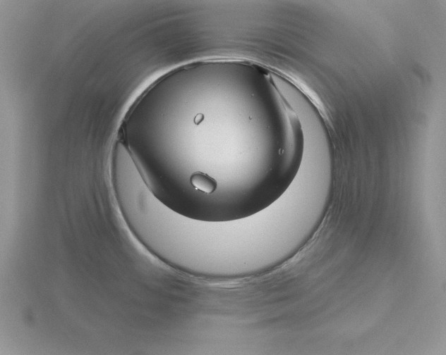 X0000115811484200912111220