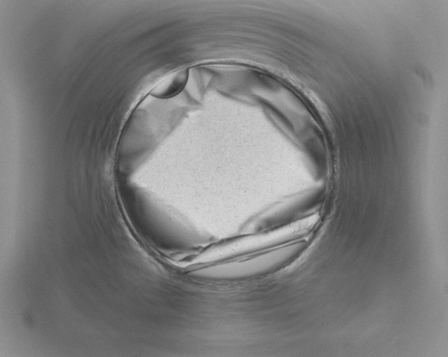 X0000115811529200912111220