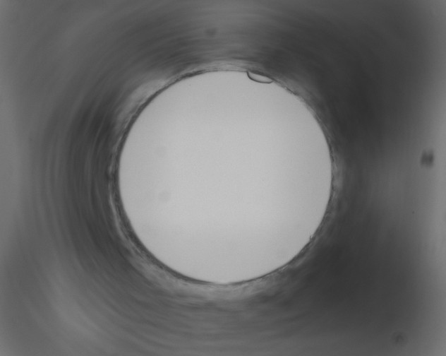 X0000115810001200912241924