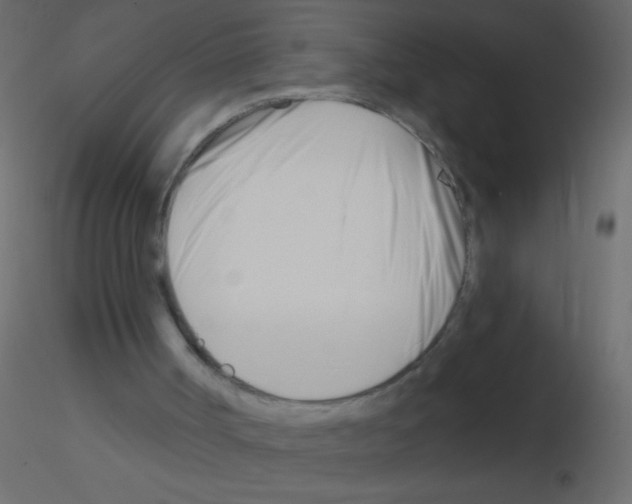 X0000115810002200912241924