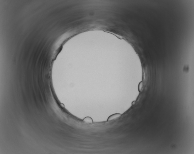 X0000115810003200912241924