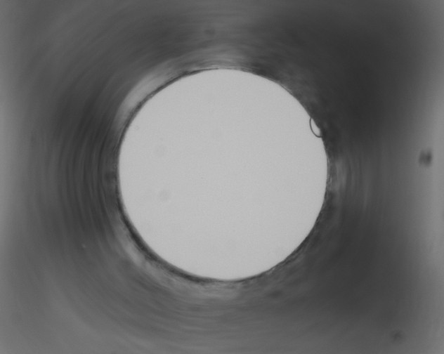 X0000115810004200912241924