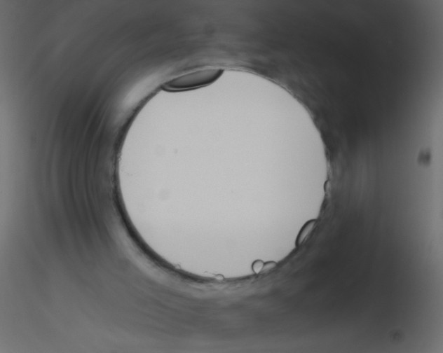 X0000115810005200912241924