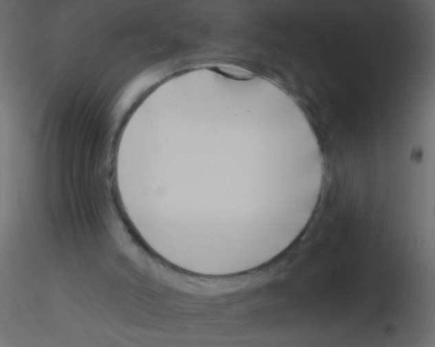 X0000115810006200912241924