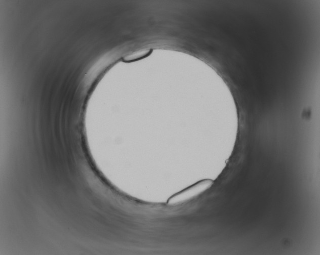 X0000115810007200912241924