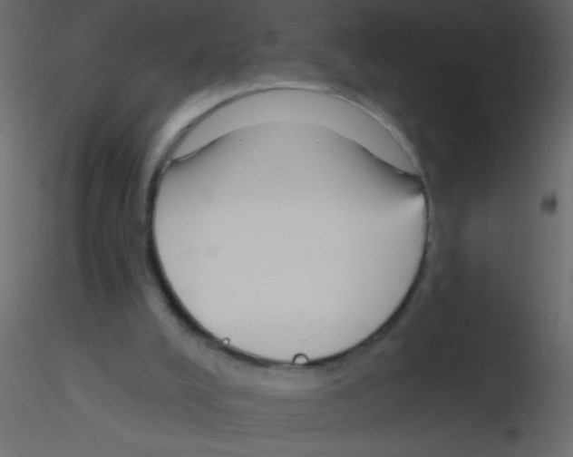 X0000115810008200912241924